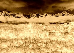 Sepia + Negatyw