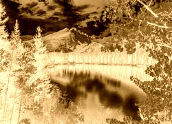 Sepia + Negatyw