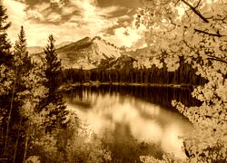 Sepia