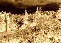 Sepia + Negatyw