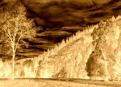 Sepia + Negatyw