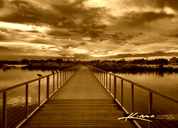 Sepia