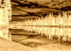 Sepia + Negatyw