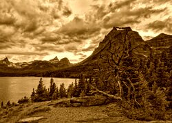 Sepia