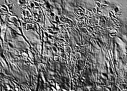 Skamielina