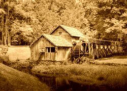 Sepia