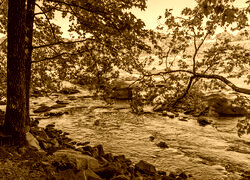 Sepia