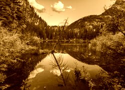 Sepia