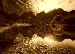 Sepia