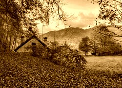 Sepia
