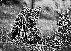 Skamielina