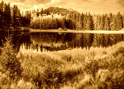 Sepia