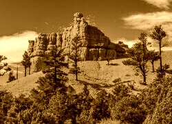 Sepia
