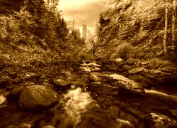Sepia