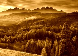 Sepia