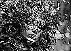 Skamielina