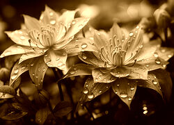 Sepia