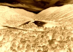 Sepia + Negatyw