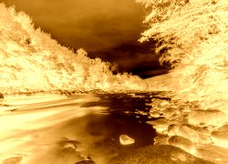 Sepia + Negatyw