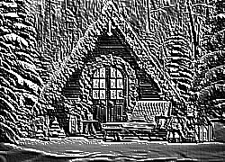 Skamielina