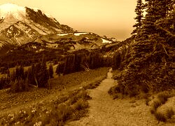 Sepia