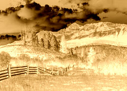 Sepia + Negatyw