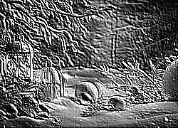 Skamielina