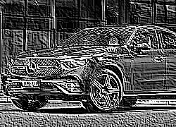 Skamielina