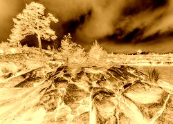 Sepia + Negatyw