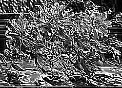 Skamielina