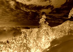 Sepia + Negatyw