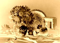 Sepia + Negatyw