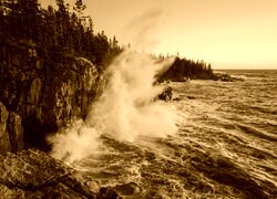 Sepia