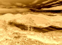 Sepia + Negatyw