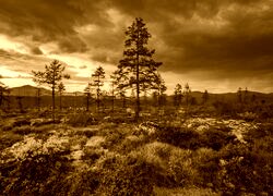 Sepia