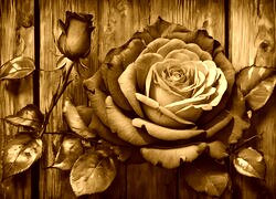 Sepia