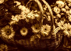 Sepia