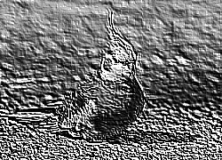 Skamielina