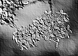 Skamielina