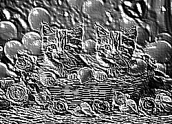 Skamielina