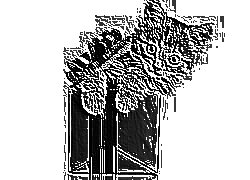 Skamielina