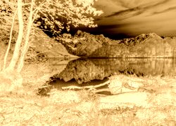Sepia + Negatyw