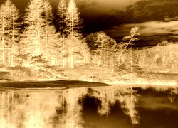 Sepia + Negatyw