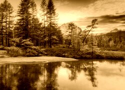Sepia