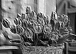 Skamielina