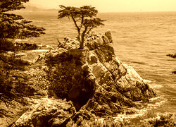 Sepia