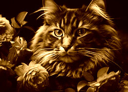 Sepia