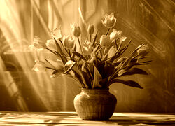 Sepia