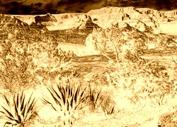 Sepia + Negatyw