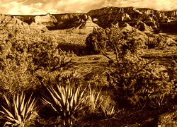 Sepia